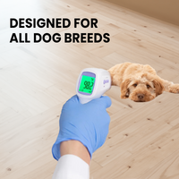 Contactloos Hondenthermometer met Eén-Klik Aflezing