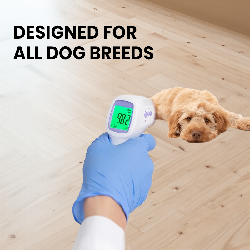 Contactloos Hondenthermometer met Eén-Klik Aflezing