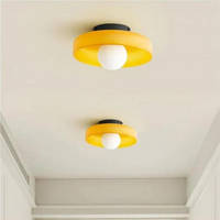 Glazen Schijf Plafond- en Wandlamp met Centrale Globe