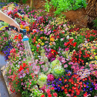FlowerBloom™ | Meerjarige bloemenmix voor eenjarige bloeipracht