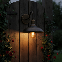 Vintage buiten wandlamp