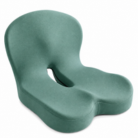Ergonomisch Zitkussen met Lendensteun