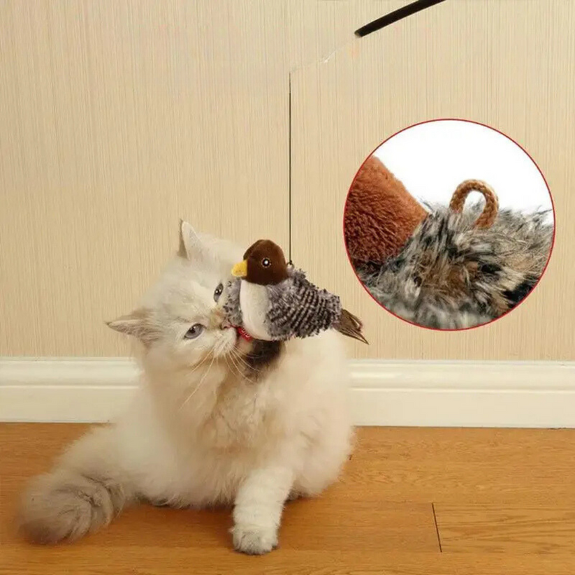 Stimuleer de natuurlijke instincten van je kat