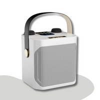 SoundBliss – Draagbare karaoke luidspreker met meeslepende audio en draadloze microfoons
