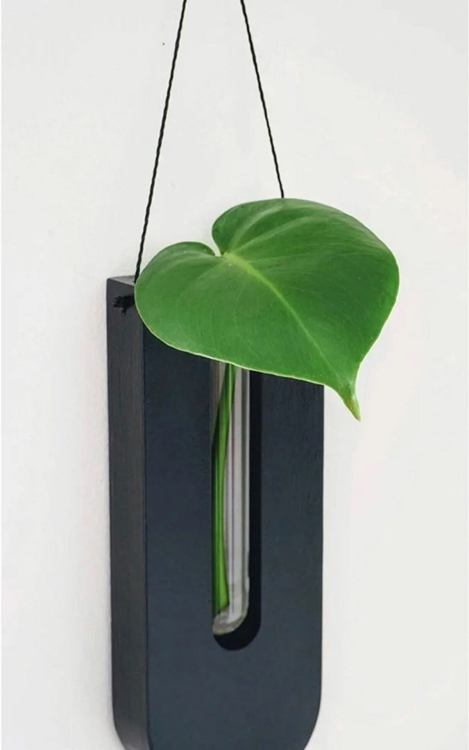 Set van Houten Wandplantenhouders voor Kamerplanten met een Minimalistisch en Natuurlijk Ontwerp