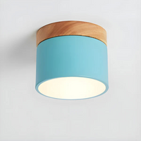 Vesta - Vintage LED Plafondlamp