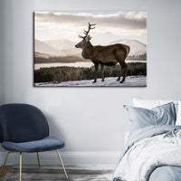 Donkere Winterhert – Canvasprint