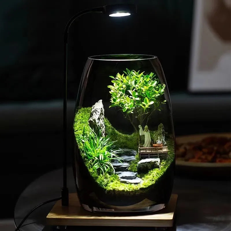 LushVista - Moslandschap Display