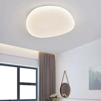 LED Plafondlamp Organische Natuurlijke Steen Vorm