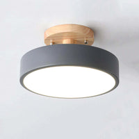 Orya Ronde LED Plafondlamp Modern Hout Kleurrijk