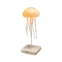 AquaFlow | Medusa LED Lamp