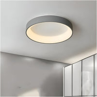 Nordic Modern Ringvormige LED Plafondlamp