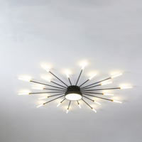 Wesley Plafondlamp Vuurwerk Lineair Modern Zwart/Goud