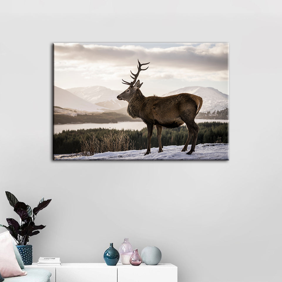 Donkere Winterhert – Canvasprint