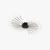 Arisha Industriële LED Plafondlamp Zwart/Goud Woonkamer Metaal