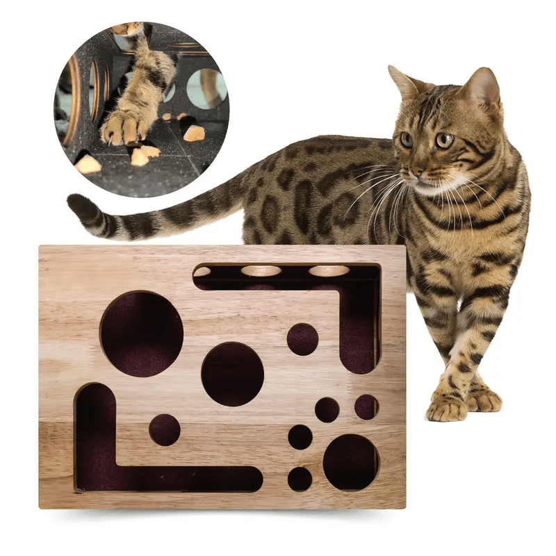 🎁😻Katten Krab Puzzel Verrijkingsdoos✨