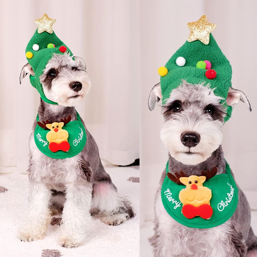HolidayHat | Laat je huisdier deze feestdagen schitteren met de schattige hoed