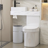 Contemporary Flush Toilet Vloermontage Eenstuk Toilet Urine Toilet
