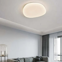 LED Plafondlamp Organische Natuurlijke Steen Vorm