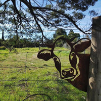 Buiten Tuin Boerderij Spionerende Geit Metaal Kunstwerk Binnen Decoratie
