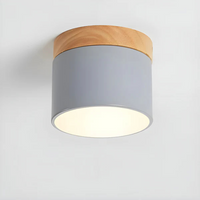 Vesta - Vintage LED Plafondlamp