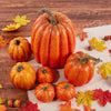 FestivaPump | Veelzijdige pompoenen voor Halloween en daarna