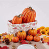 FestivaPump | Veelzijdige pompoenen voor Halloween en daarna