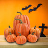 FestivaPump | Veelzijdige pompoenen voor Halloween en daarna