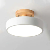 Orya Ronde LED Plafondlamp Modern Hout Kleurrijk