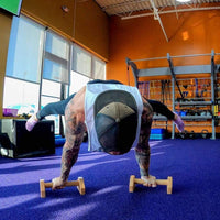 Calisthenics PowerBars – Sterke Houten Push-Up Steunen