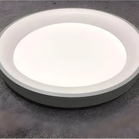 Nordic Modern Ringvormige LED Plafondlamp