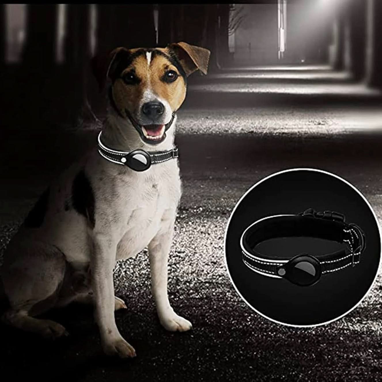 LEAZO - Locatietag Hondhalsband