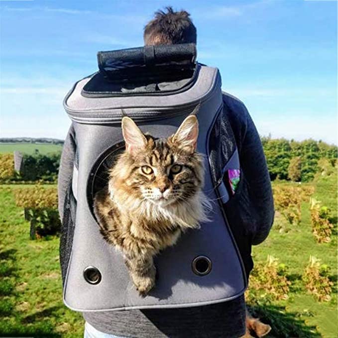 Reisdrager voor huisdieren