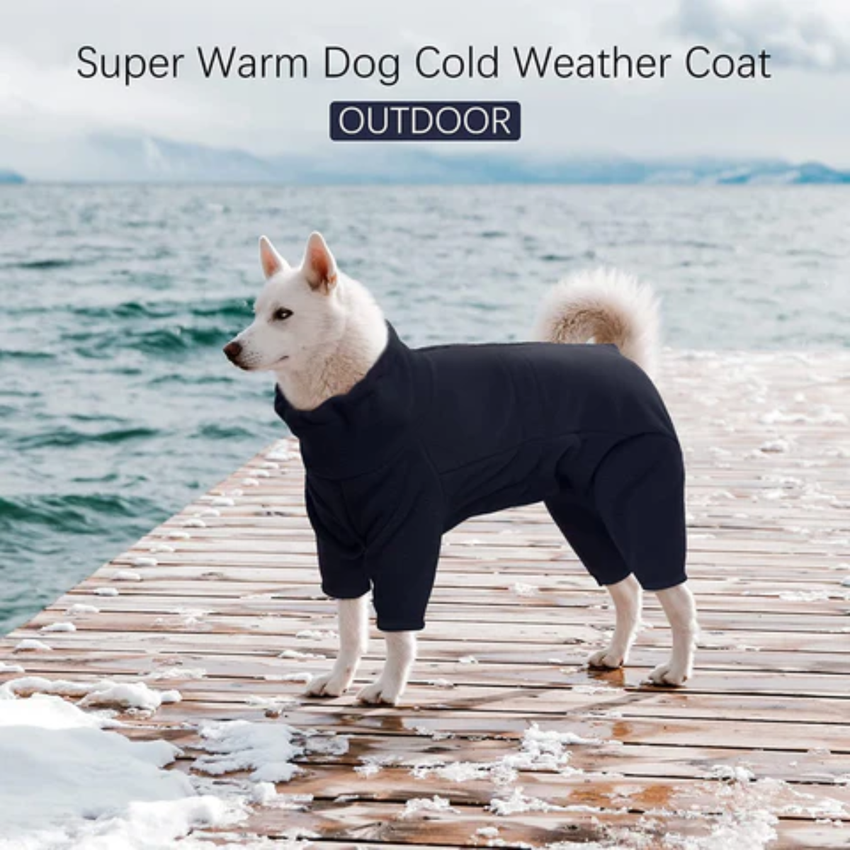 Winter Warme Hond Jas
