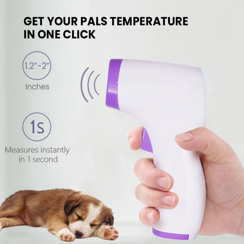 Contactloos Hondenthermometer met Eén-Klik Aflezing