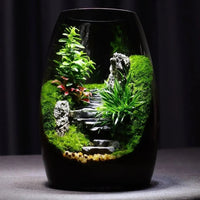 LushVista - Moslandschap Display