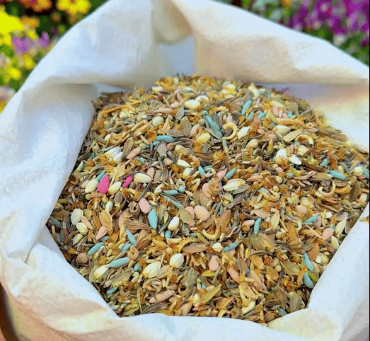 FlowerBloom™ | Meerjarige bloemenmix voor eenjarige bloeipracht