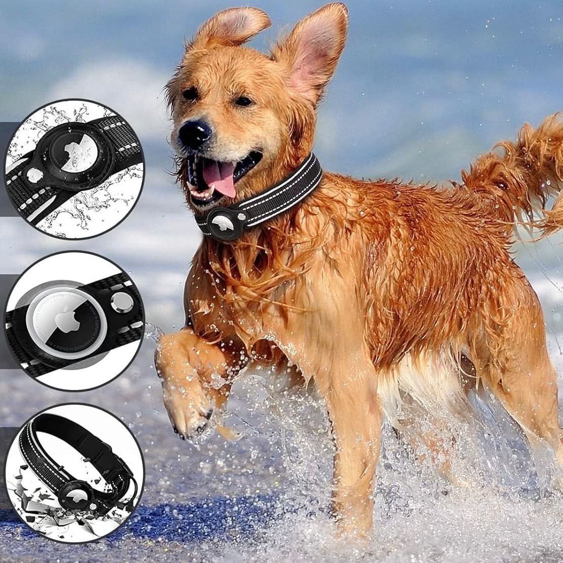 LEAZO - Locatietag Hondhalsband