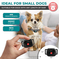 BelloSilent Antiblaffhalsband voor kleine honden | Met geluid & trilling | IP87 Waterdicht | Verstelbaar & zacht in training