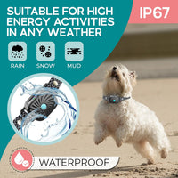 BelloSilent Antiblaffhalsband voor kleine honden | Met geluid & trilling | IP87 Waterdicht | Verstelbaar & zacht in training