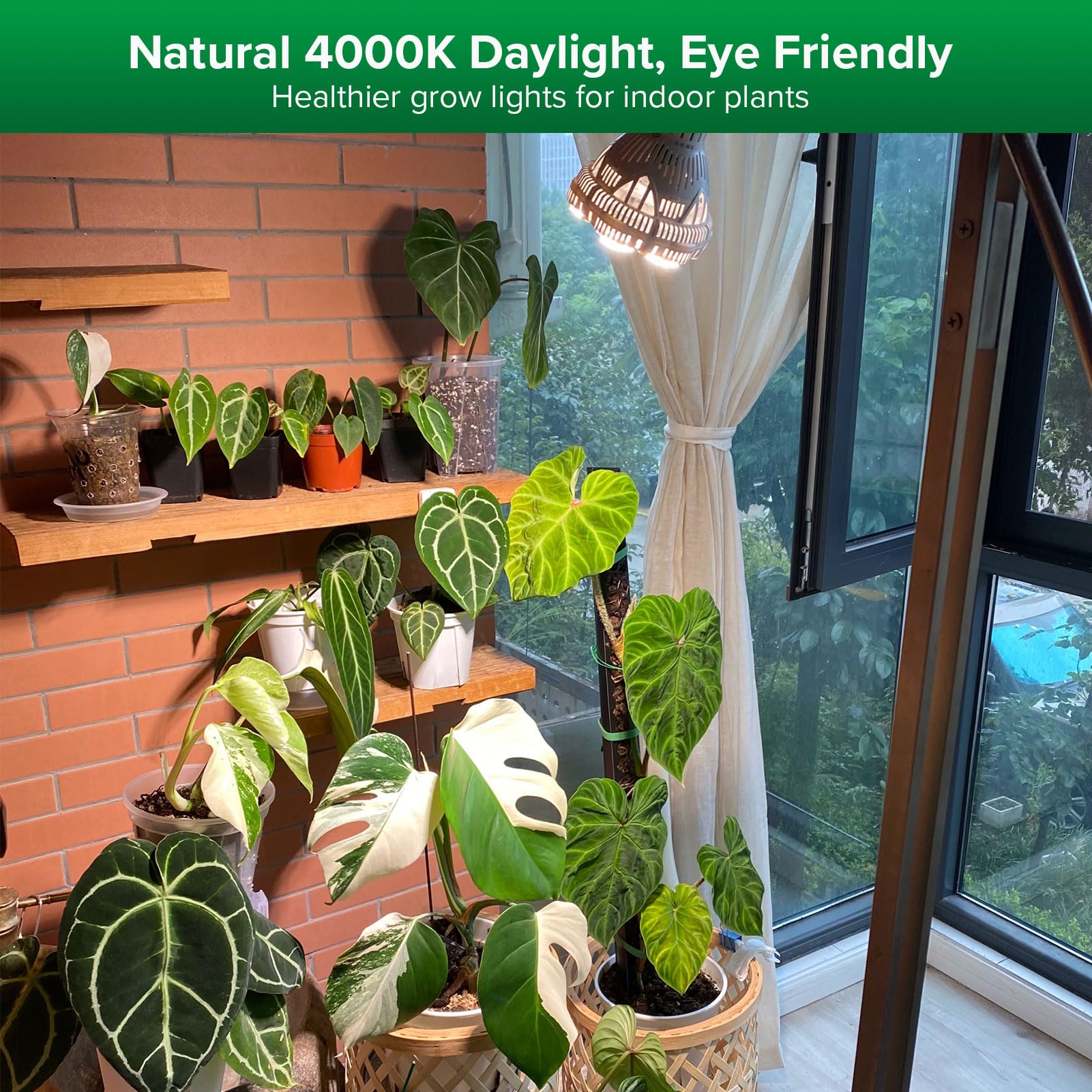 Skanto | Sansi 24W Kweeklamp, Vol Spectrum, Hoge Ppfd, Perfect Voor Binnenplanten En Bloemen