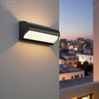 Zwart LED Buiten Wandlicht