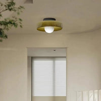 Glazen Schijf Plafond- en Wandlamp met Centrale Globe