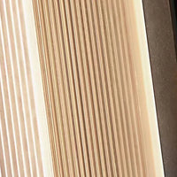 Ray Moderne Rechthoekige Metalen Buitenwandlamp, Zwart