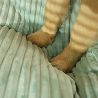 Orthopedisch Hondenbed voor Grote & Kleine Honden | Hondenkussen Wasbaar | WuffNest