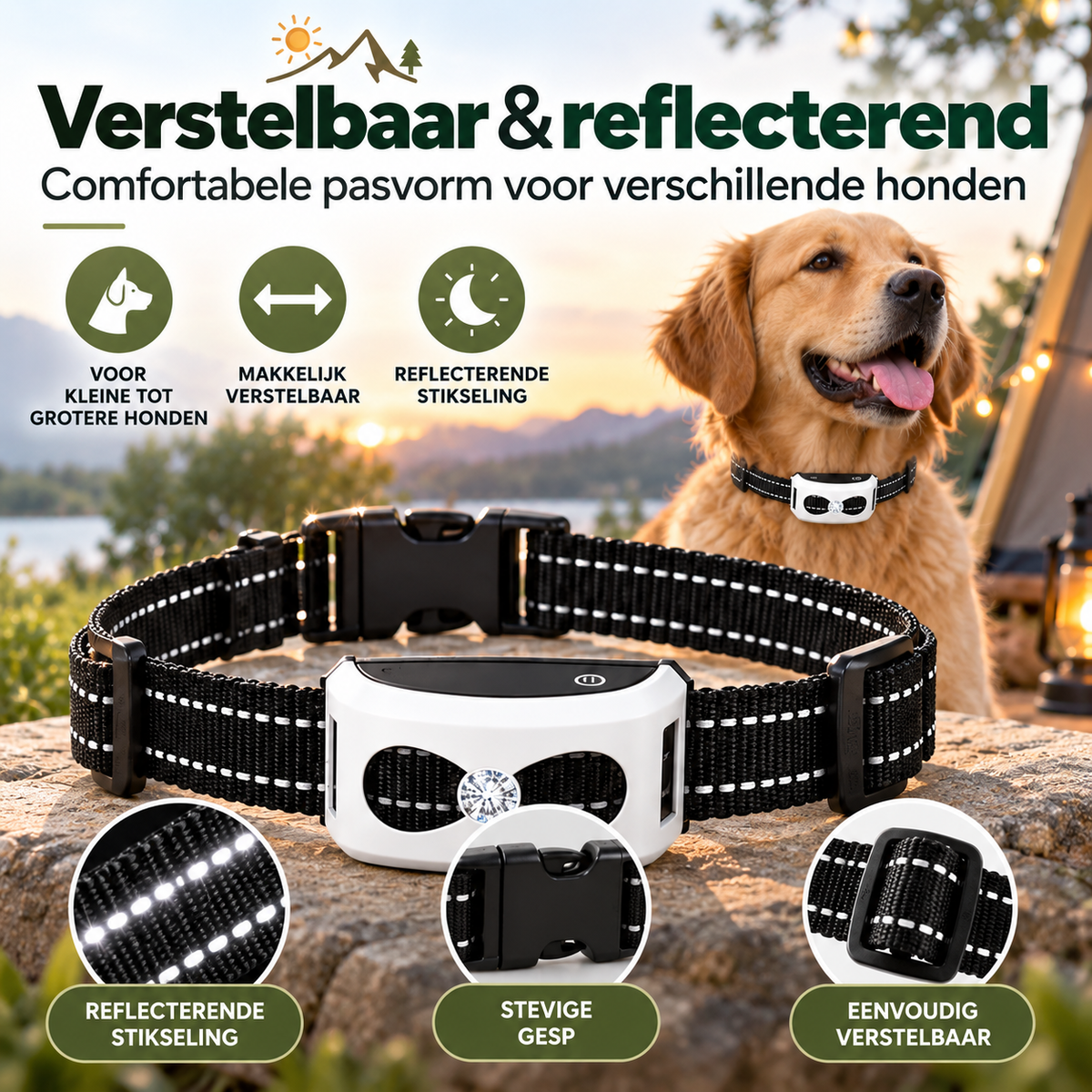 Draadloze Hondenomheining voor Camping & Caravan – 2-in-1 Trainingshalsband
