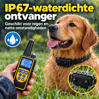 PROCANIS – Trainingshalsband voor Jacht- & Werkhonden met Afstandsbediening, IP67-Ontvanger & Bereik tot 800 m