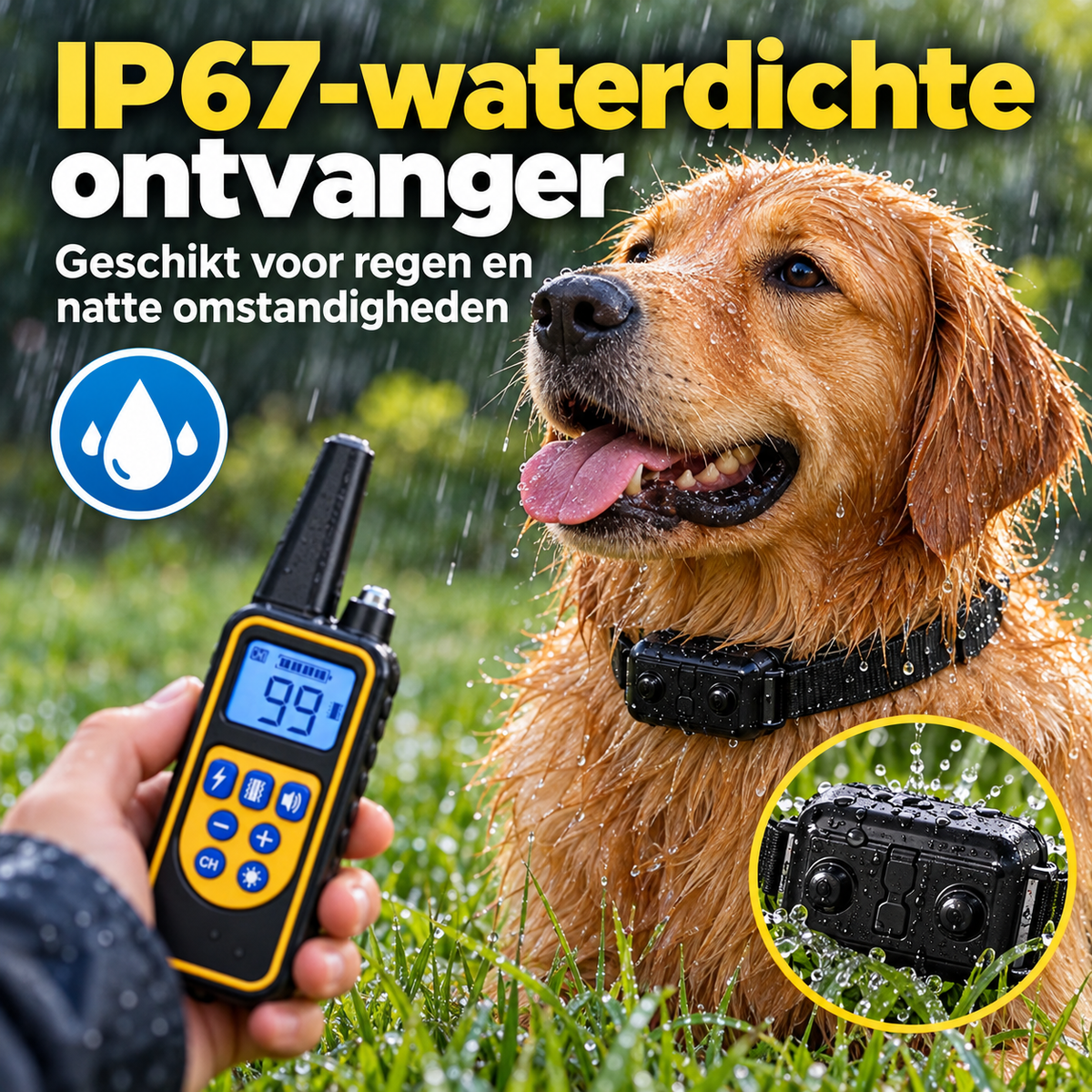 PROCANIS – Trainingshalsband voor Jacht- & Werkhonden met Afstandsbediening, IP67-Ontvanger & Bereik tot 800 m