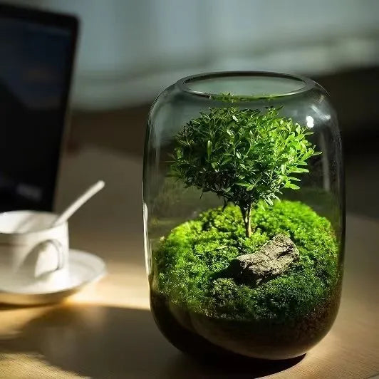 LushVista - Moslandschap Display