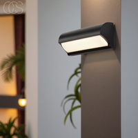 Zwart LED Buiten Wandlicht